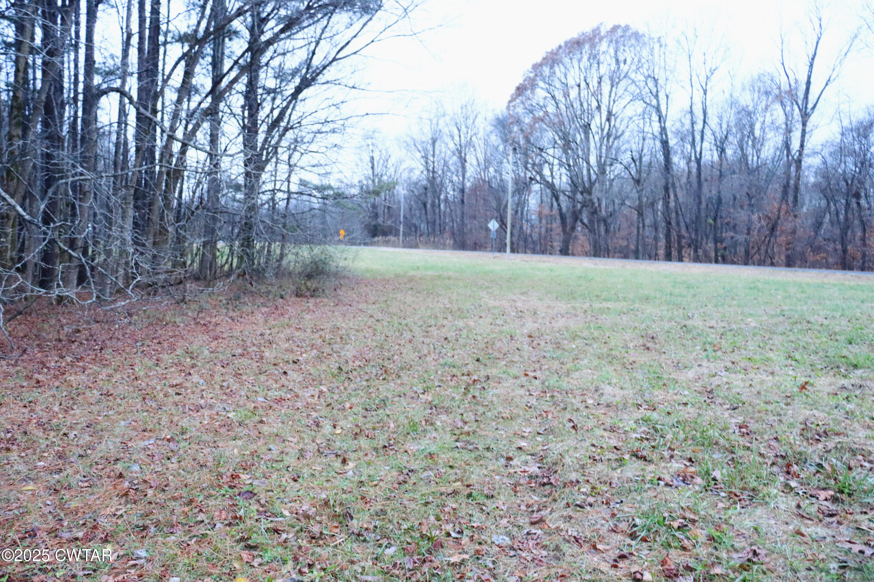 0 Old Samburg Road Hornbeak, TN 38232 - Photo 12 of 18 a view of backyard with tree