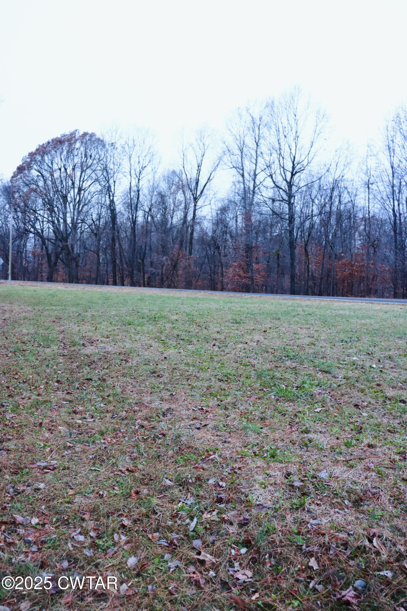 0 Old Samburg Road Hornbeak, TN 38232 - Photo 14 of 18 a view of a yard with a tree