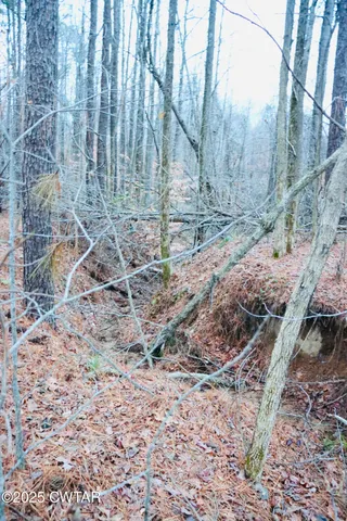 $55,000 | 0 Old Samburg Road, Hornbeak, TN 38232