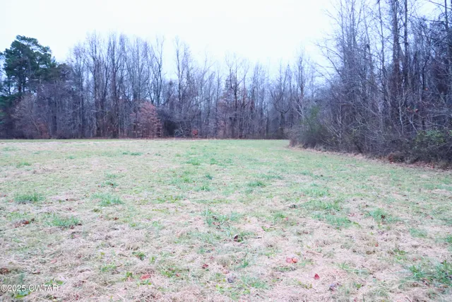 $55,000 | 0 Old Samburg Road, Hornbeak, TN 38232