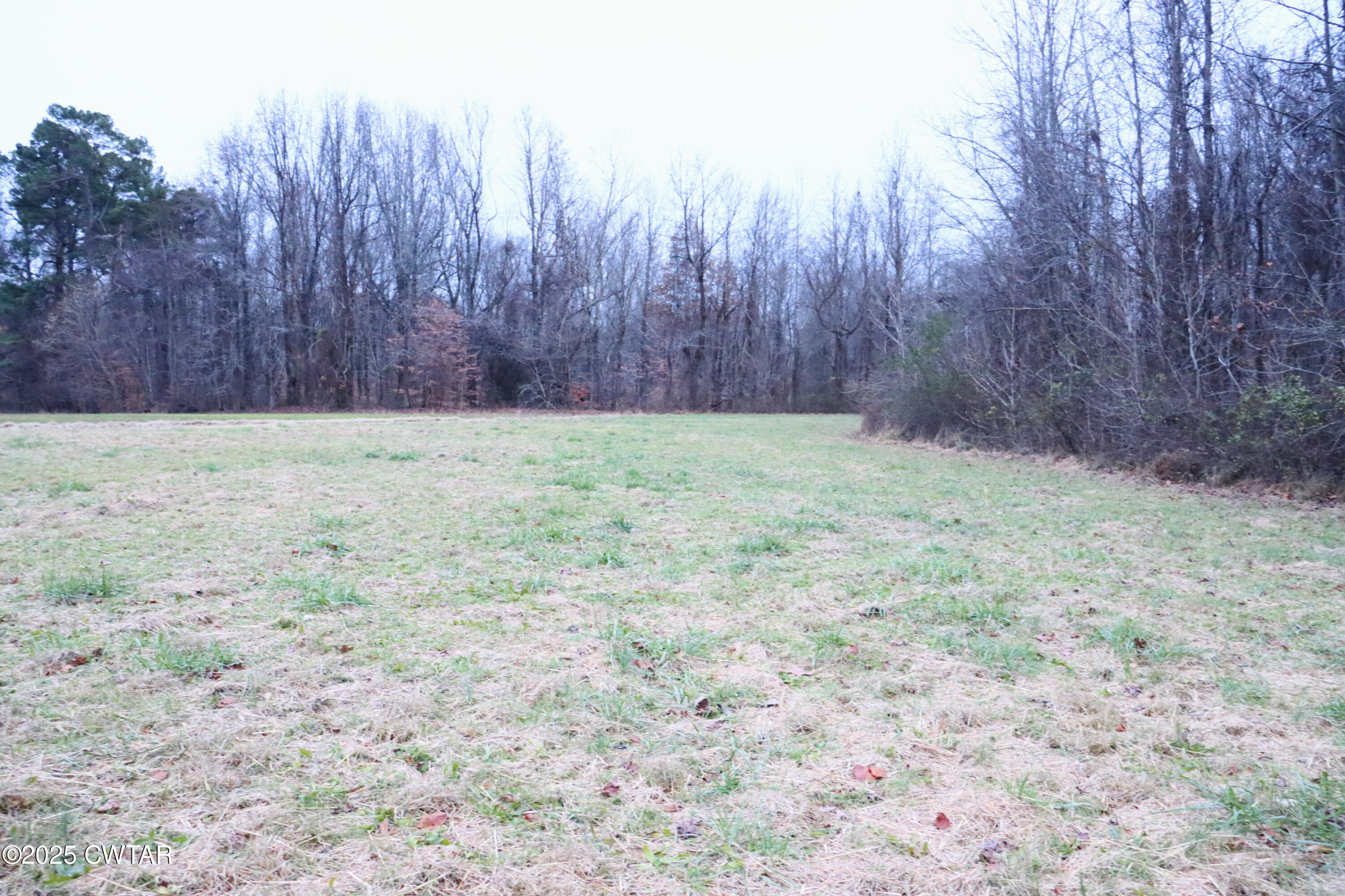 0 Old Samburg Road Hornbeak, TN 38232 - Photo 17 of 18 a view of backyard with tree