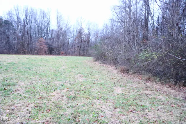 $55,000 | 0 Old Samburg Road, Hornbeak, TN 38232