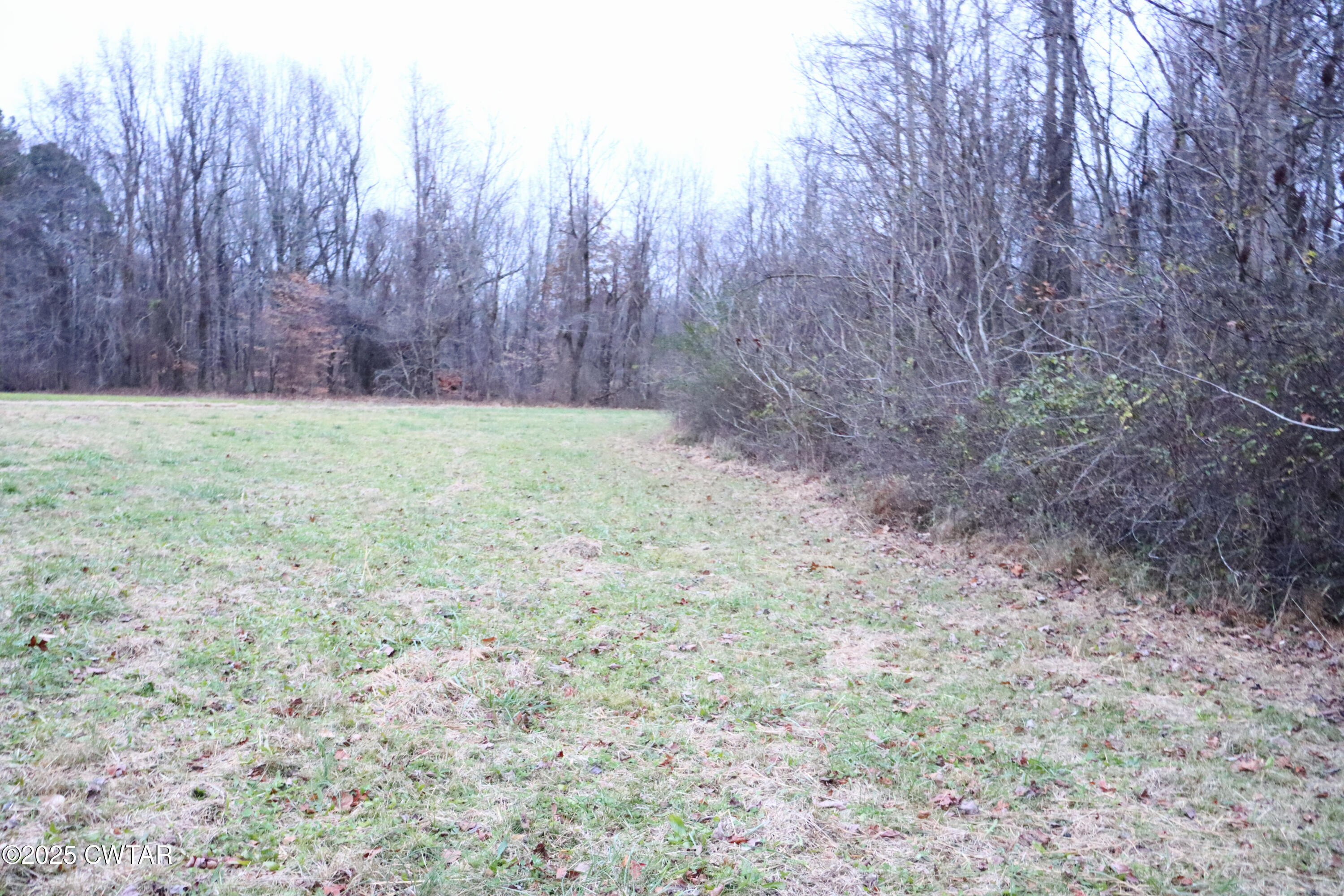 0 Old Samburg Road Hornbeak, TN 38232 - Photo 18 of 18 a view of backyard with green space