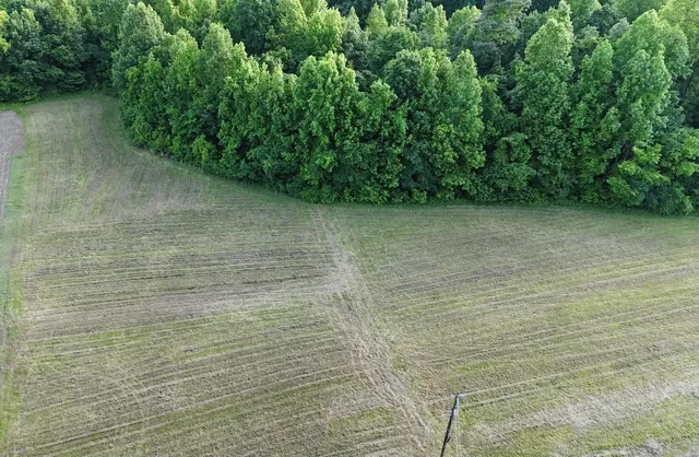 $55,000 | 0 Old Samburg Road, Hornbeak, TN 38232