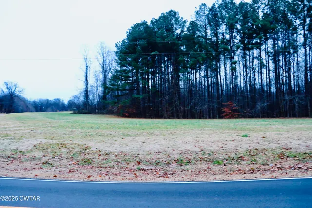 $55,000 | 0 Old Samburg Road, Hornbeak, TN 38232