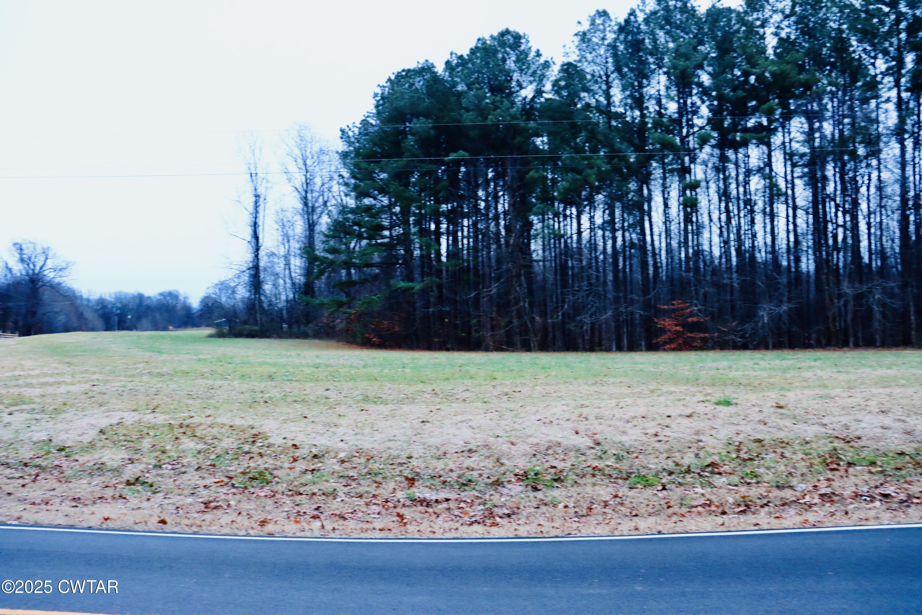 0 Old Samburg Road Hornbeak, TN 38232 - Photo 3 of 18 a backyard of a house with lots of green space