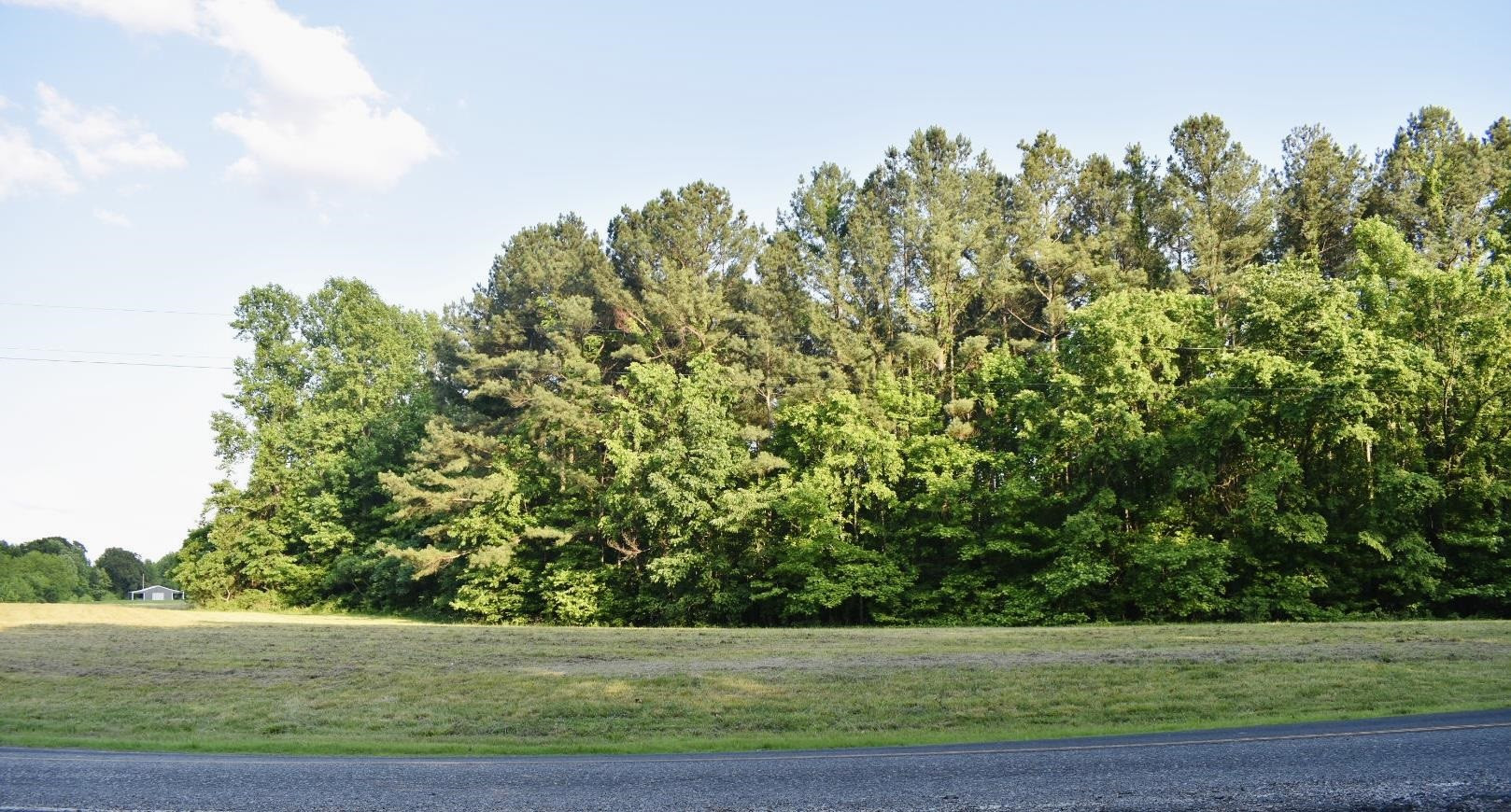 0 Old Samburg Road Hornbeak, TN 38232 - Photo 5 of 18 a view of a yard