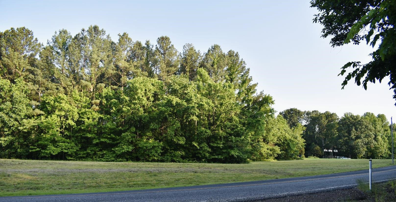 0 Old Samburg Road Hornbeak, TN 38232 - Photo 7 of 18 a view of a grassy field