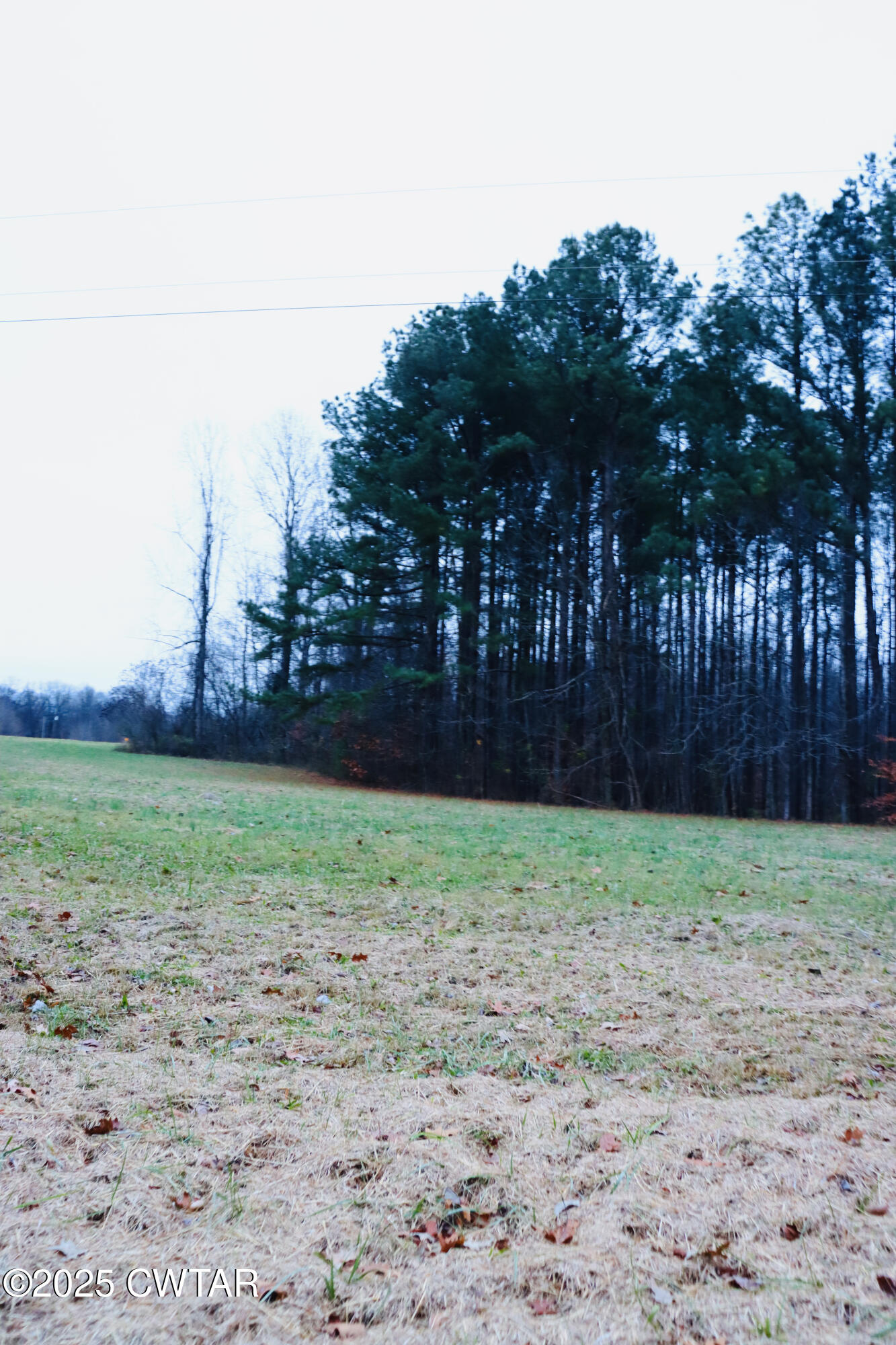 0 Old Samburg Road Hornbeak, TN 38232 - Photo 8 of 18 a view of backyard with green space