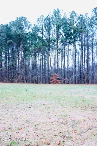 $55,000 | 0 Old Samburg Road, Hornbeak, TN 38232