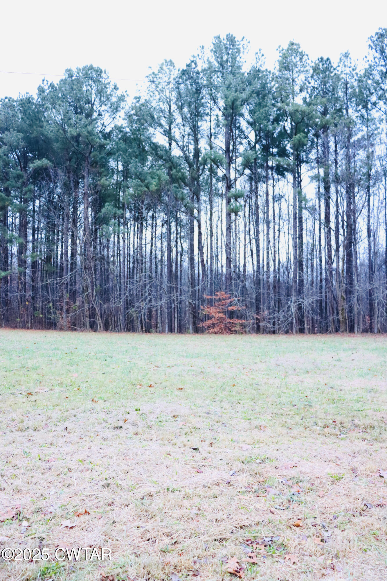 0 Old Samburg Road Hornbeak, TN 38232 - Photo 9 of 18 a backyard of a house with lots of green space