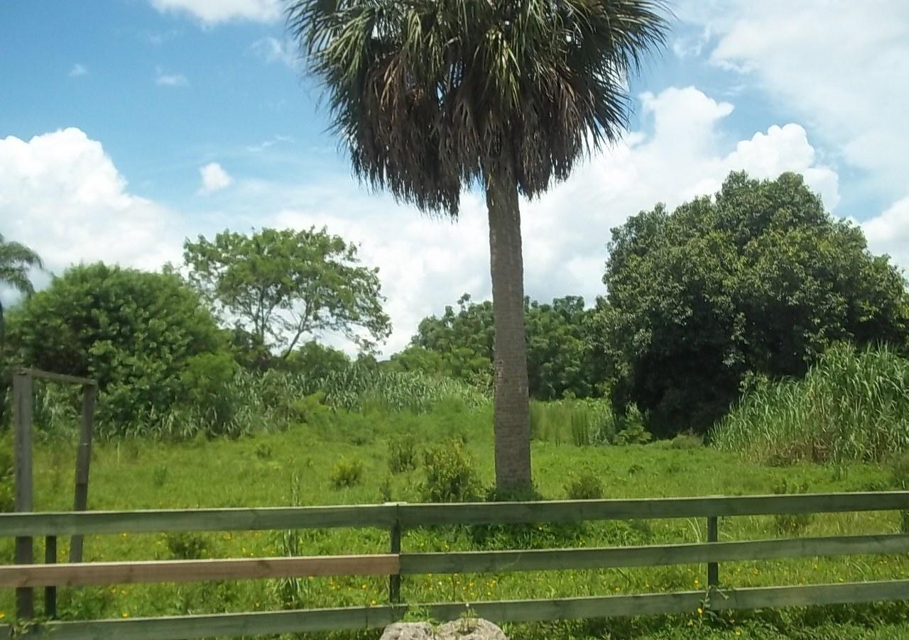 655 Southeast Salerno Road Stuart, FL 34997 - Photo 3 of 19 100_5061