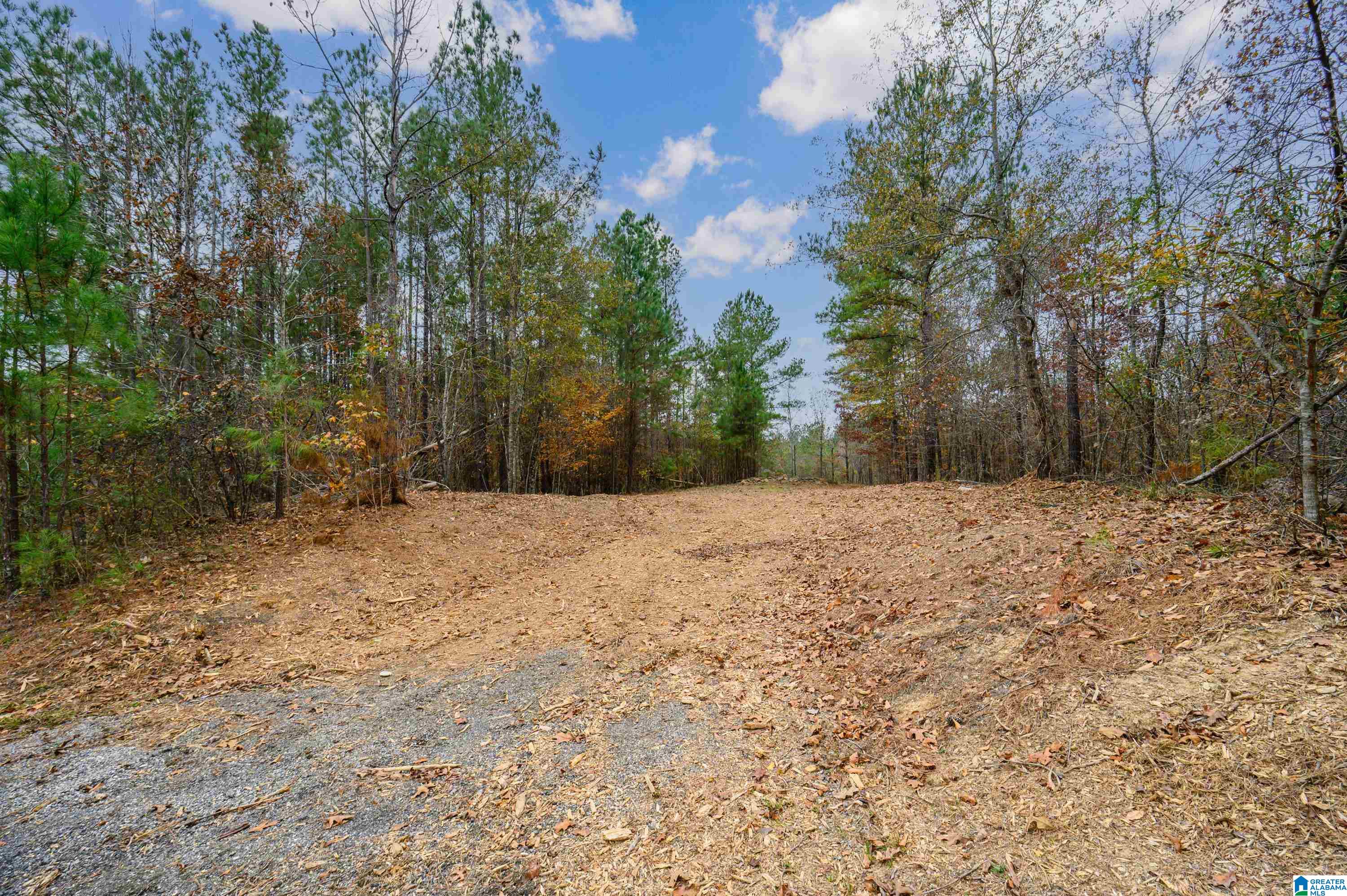 8799 Shades Fall Way, Unit 2 Bessemer, AL 35022 - Photo 17 of 45
