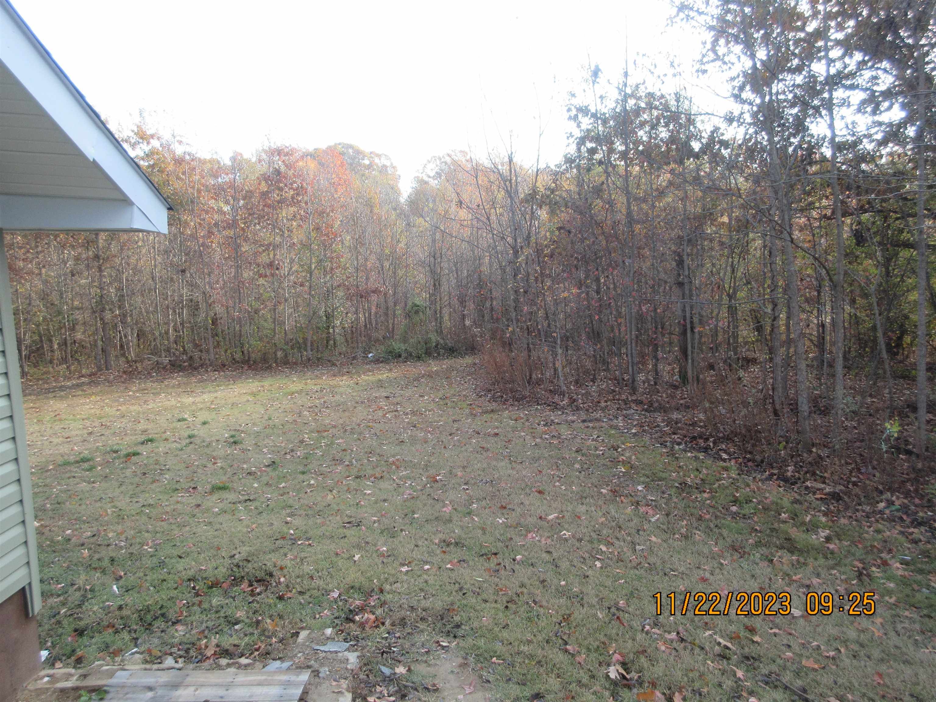 4036 Concord Road Gates, TN 38037 - Photo 16 of 19 a view of a dry yard with trees in the background