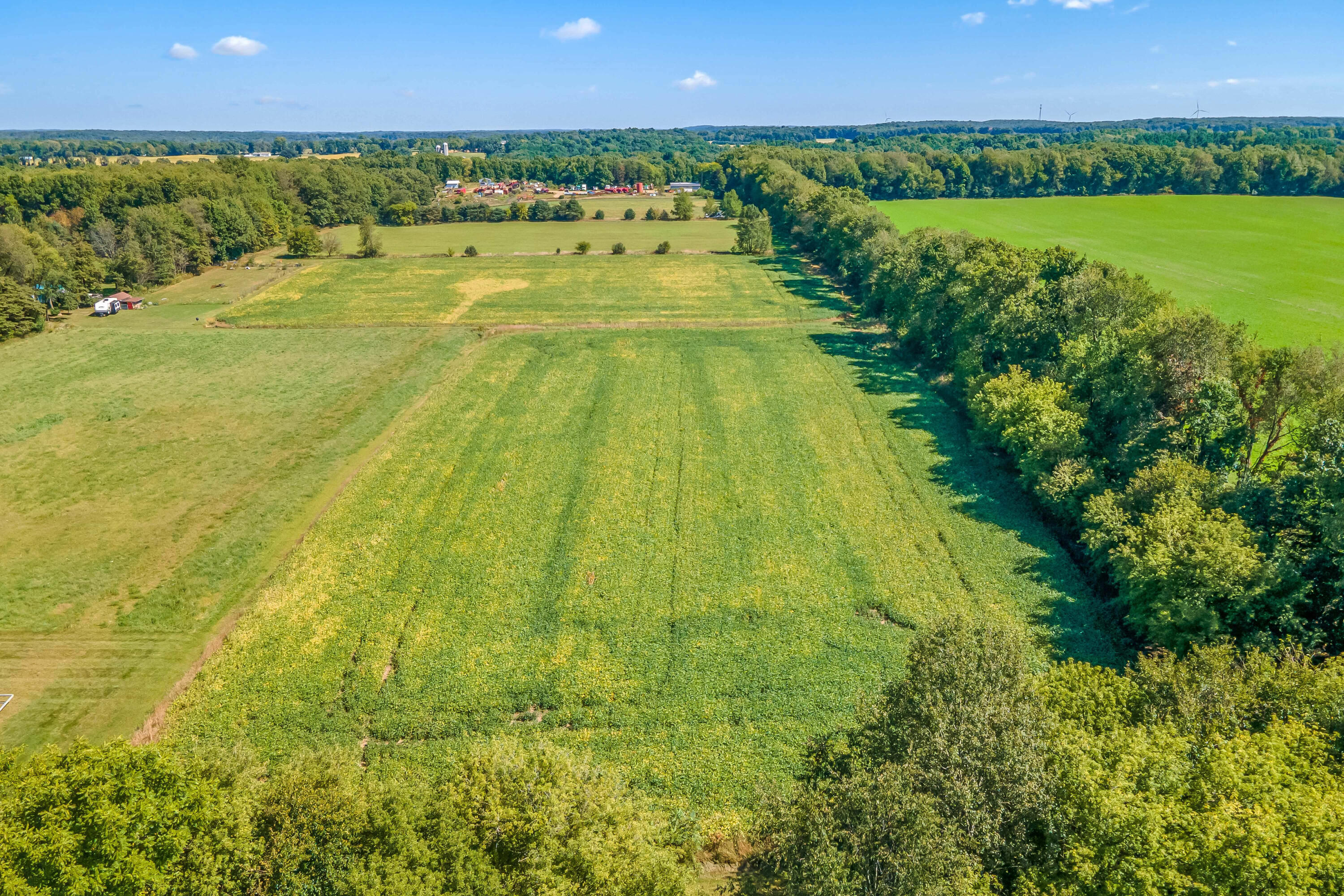 11333 Strait Road Jonesville, MI 49250 - Photo 7 of 38 5