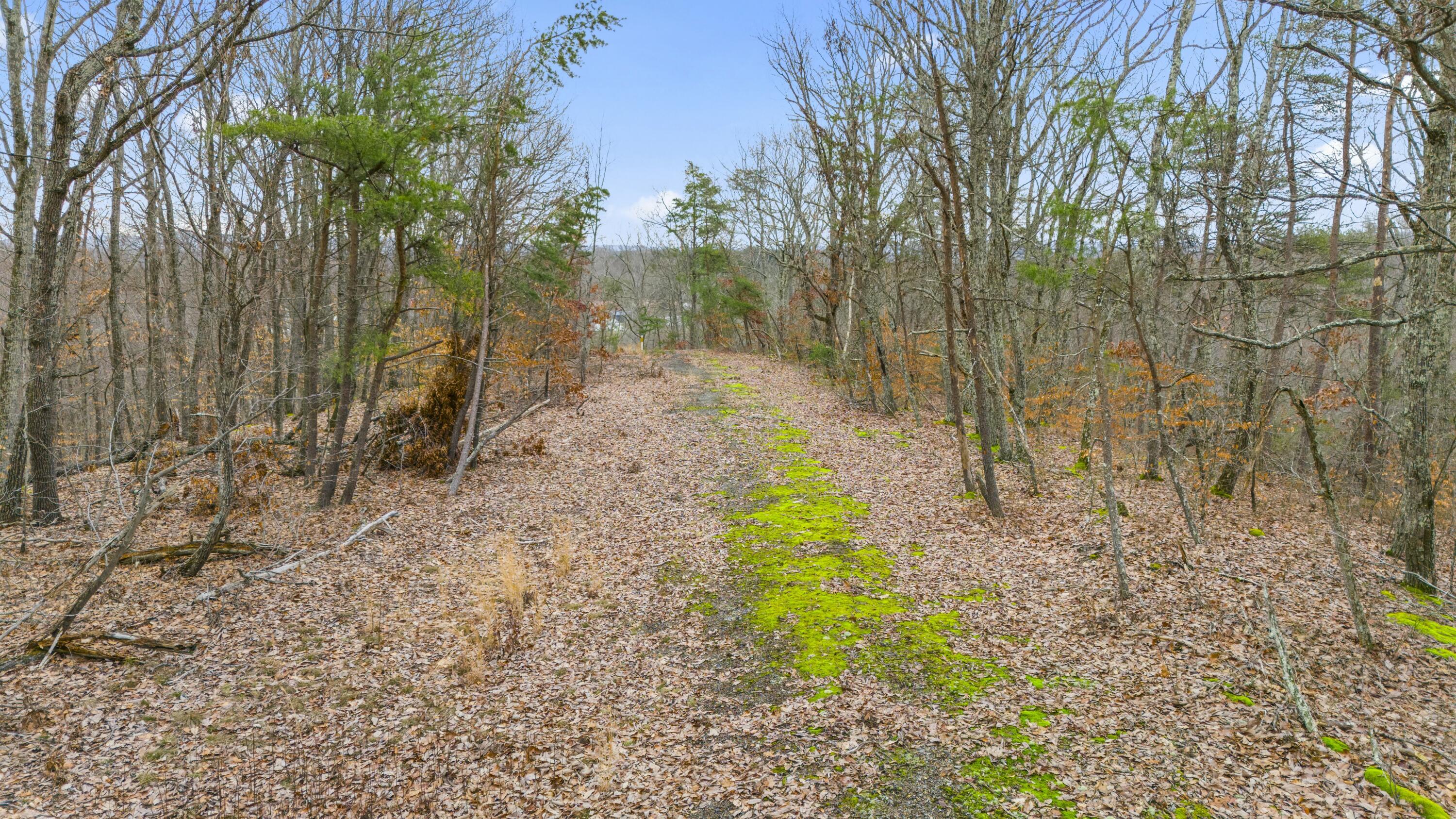 199 Midway Road Winchester, KY 40391 - Photo 6 of 15 tempImageYLQtli