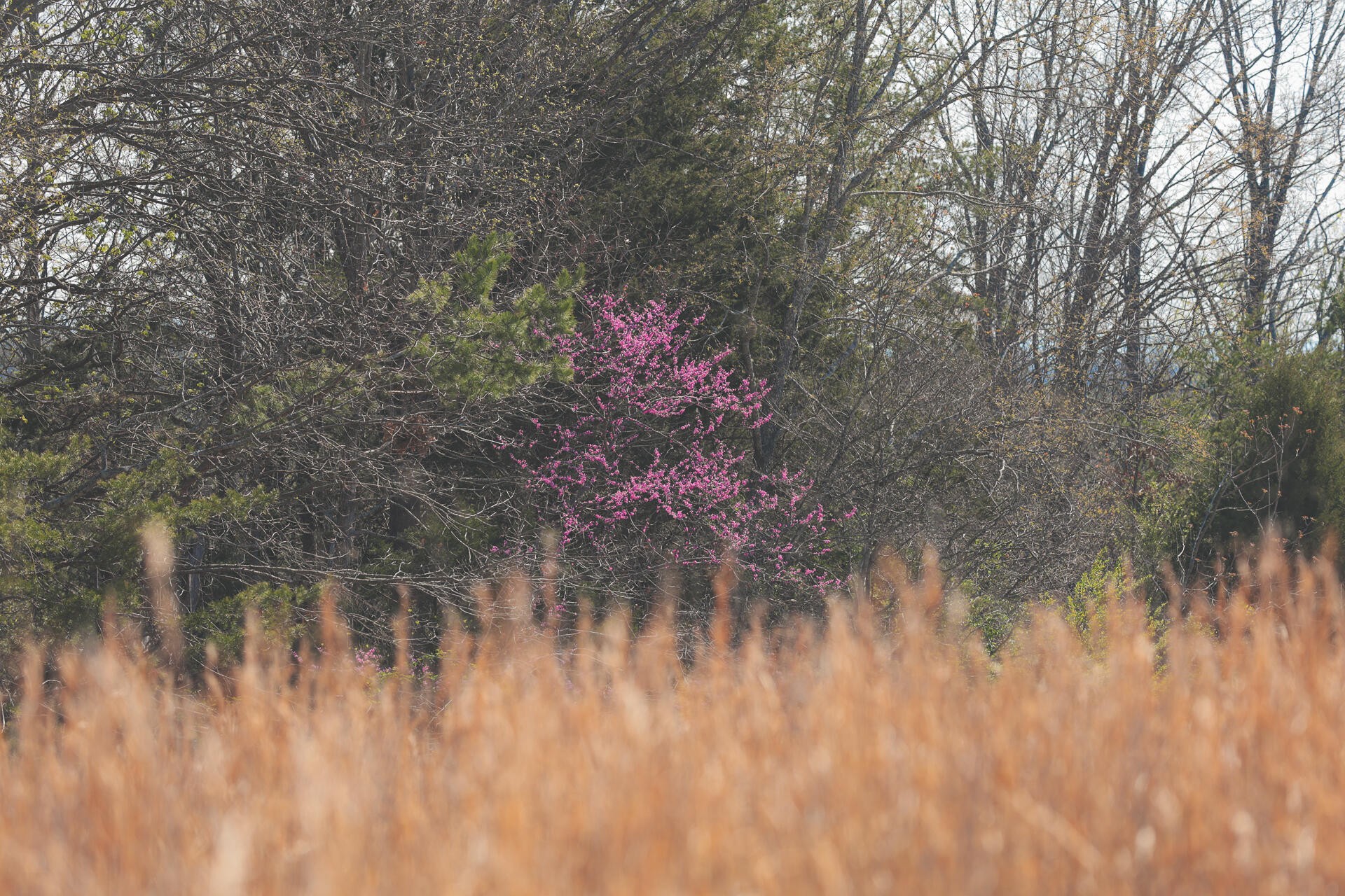 527 Dyer Hollow Road Dayton, TN 37321 - Photo 20 of 61 Gallery Image 20