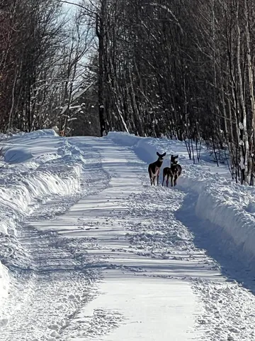 $210,000 | 509 Blackberry Lane, Rumford, ME 04276