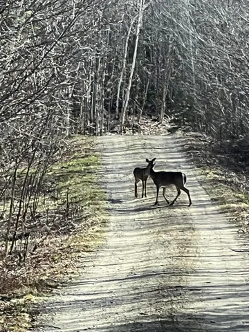 $210,000 | 509 Blackberry Lane, Rumford, ME 04276