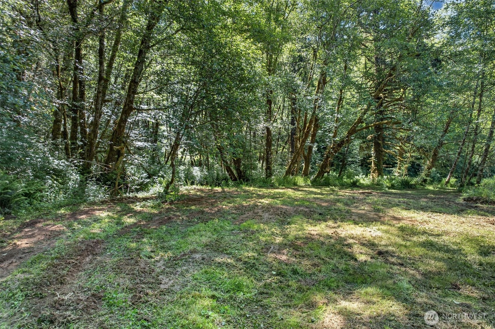 344 Hull Creek Road Grays River, WA 98621 - Photo 9 of 29
