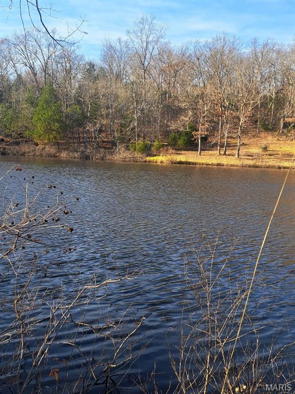 331 Scovill Lake Road Robertsville, MO 63072 - Photo 49 of 51