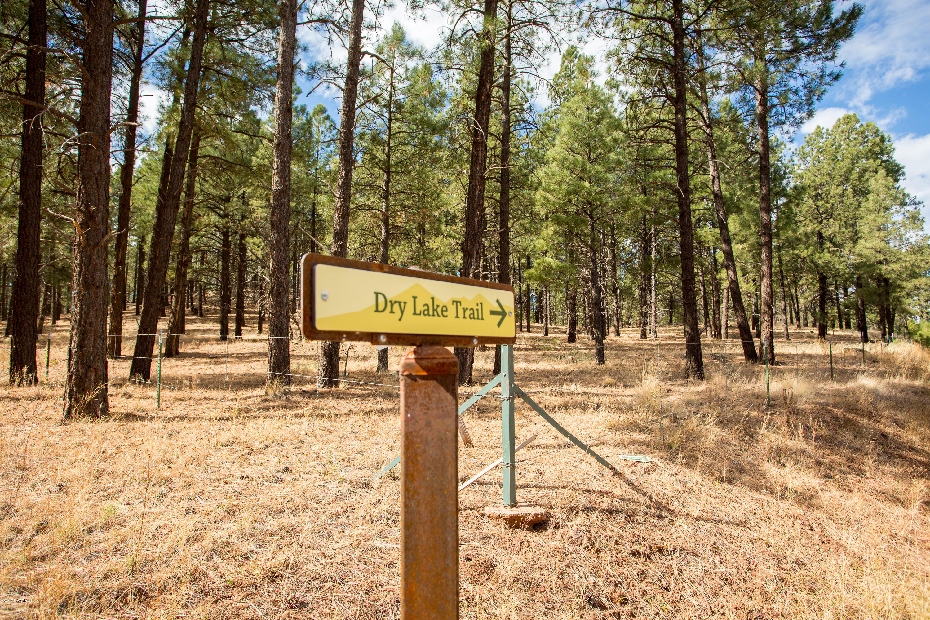 4705 South Flagstaff Ranch Road Flagstaff, AZ 86005 - Photo 6 of 19 A19B0534-20