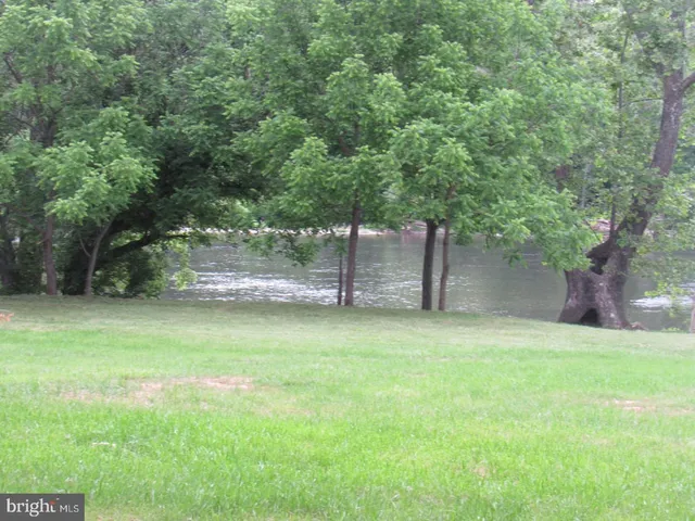 a view of a back yard