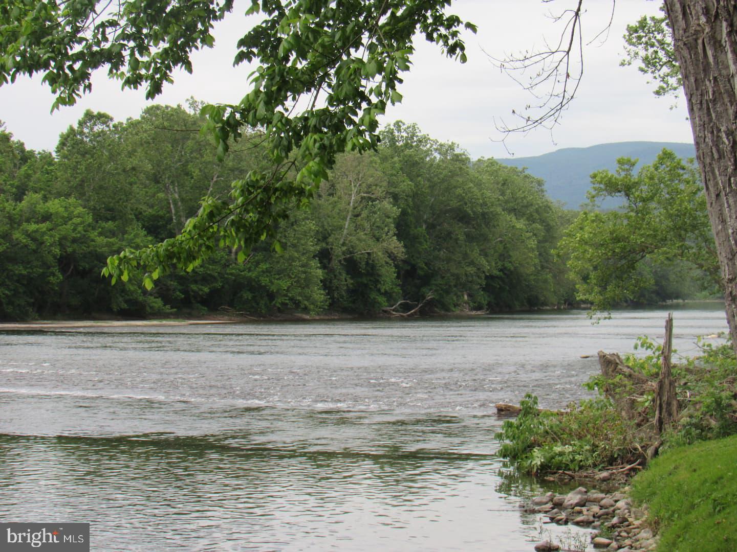 831 Good Mill Road Rileyville, VA 22650 - Photo 31 of 36