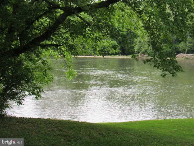 a view of a lake from a yard