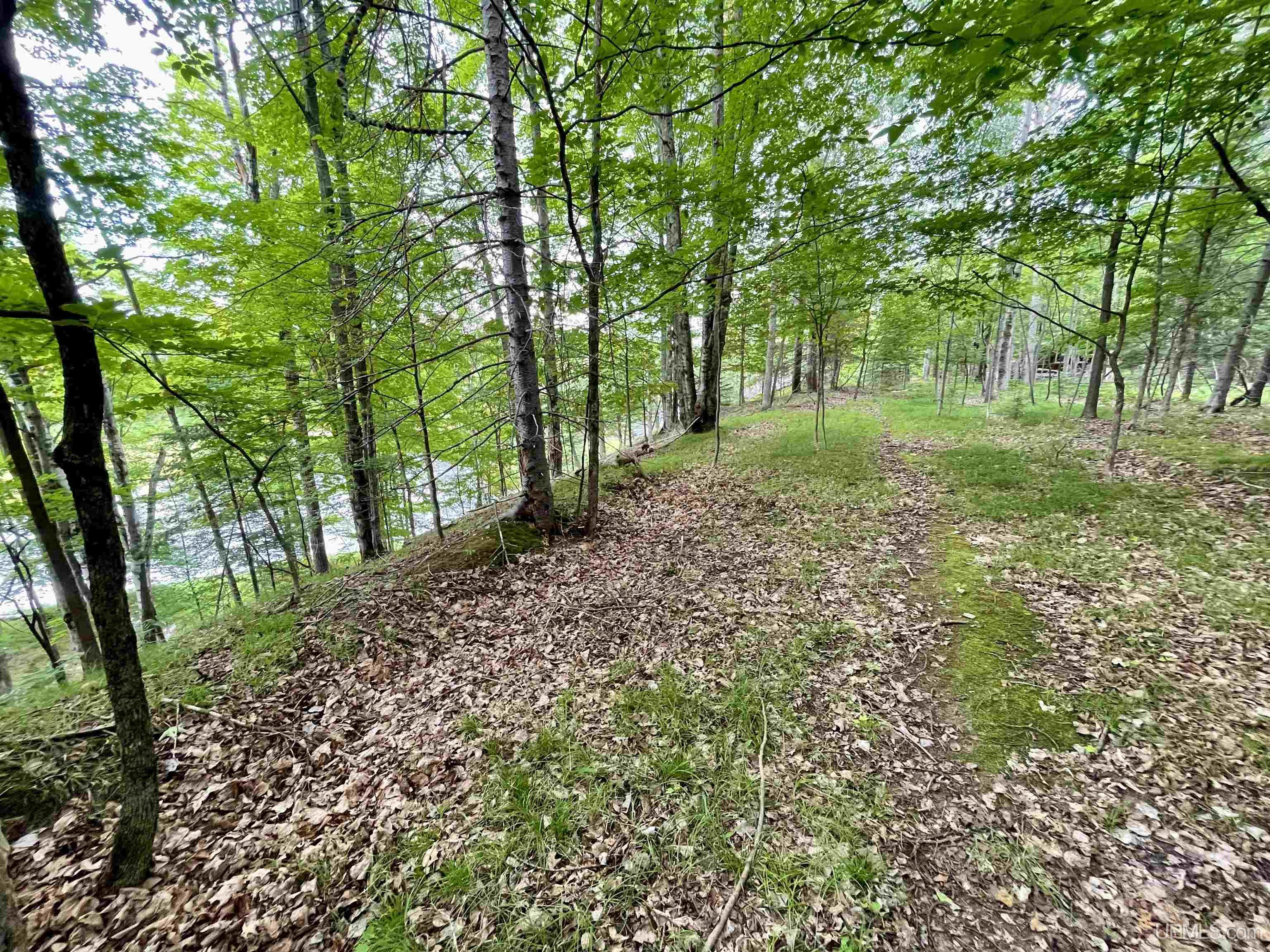 23.5 Rd Gladstone Mi 49837 Road Gladstone, MI 49837 - Photo 36 of 45