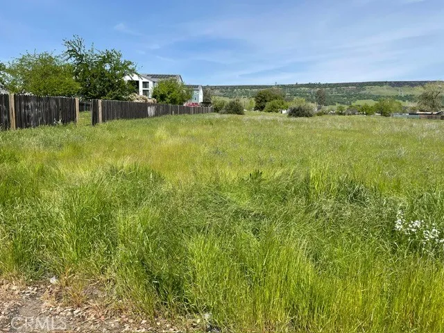a view of a garden with an outdoor space