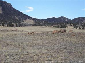 a view of a dry field with mountains in the background