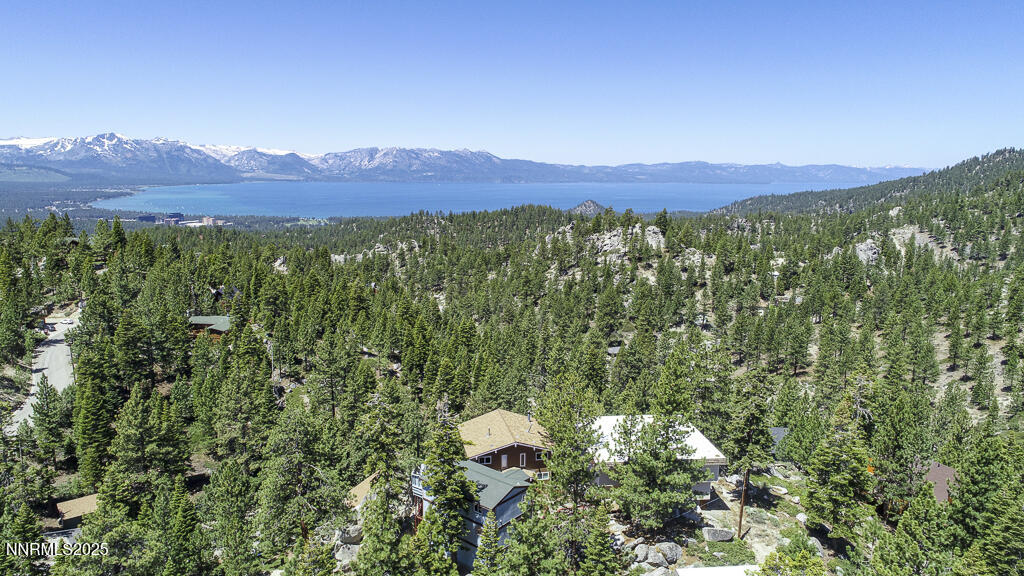 710 Tina Court, Unit B2 Stateline, NV 89449 - Photo 23 of 25 a view of a lush green field with lots of bushes