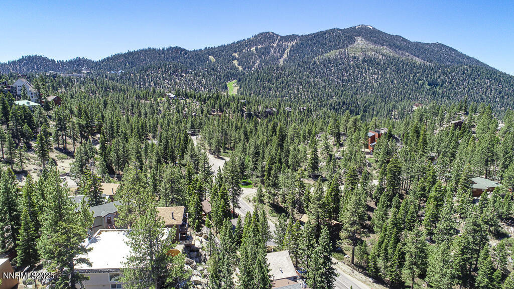 710 Tina Court, Unit B2 Stateline, NV 89449 - Photo 24 of 25 a view of a lush green hillside and a building