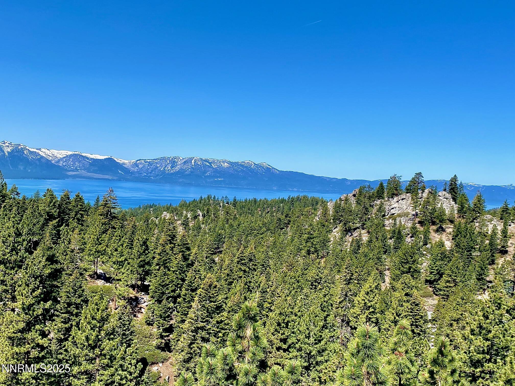 710 Tina Court, Unit B2 Stateline, NV 89449 - Photo 3 of 25 a view of a large tree with a field