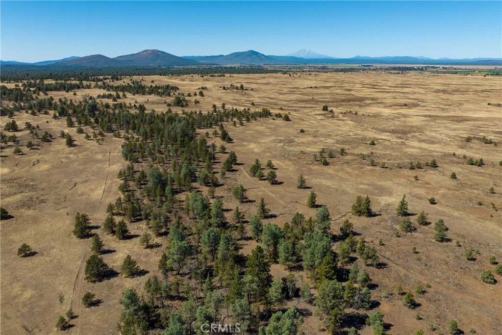0 Old Hwy Road Fall River Mills, CA 96028 - Photo 5 of 14 Gallery Image 5