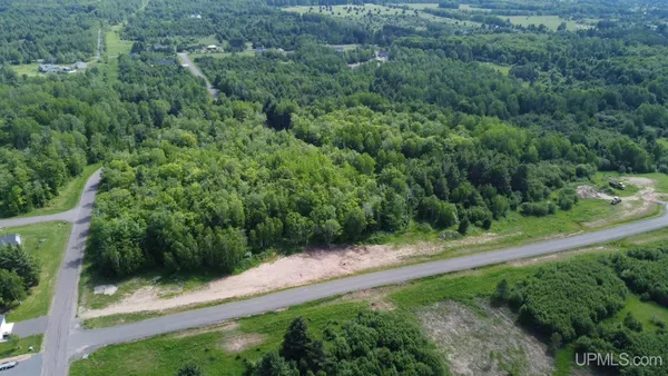$95,000 | Tbd Tbd Eagle Drive, Chassell, MI 49916