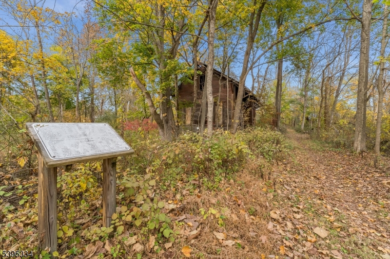 383 Pittstown Road Pittstown, NJ 08867 - Photo 29 of 29 a view of a yard in front of the house