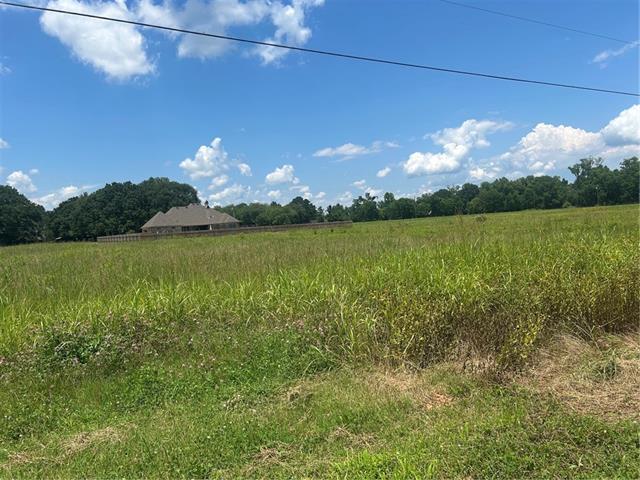 Lot 9 Winfield Road Alexandria, LA 71303 - Photo 2 of 4