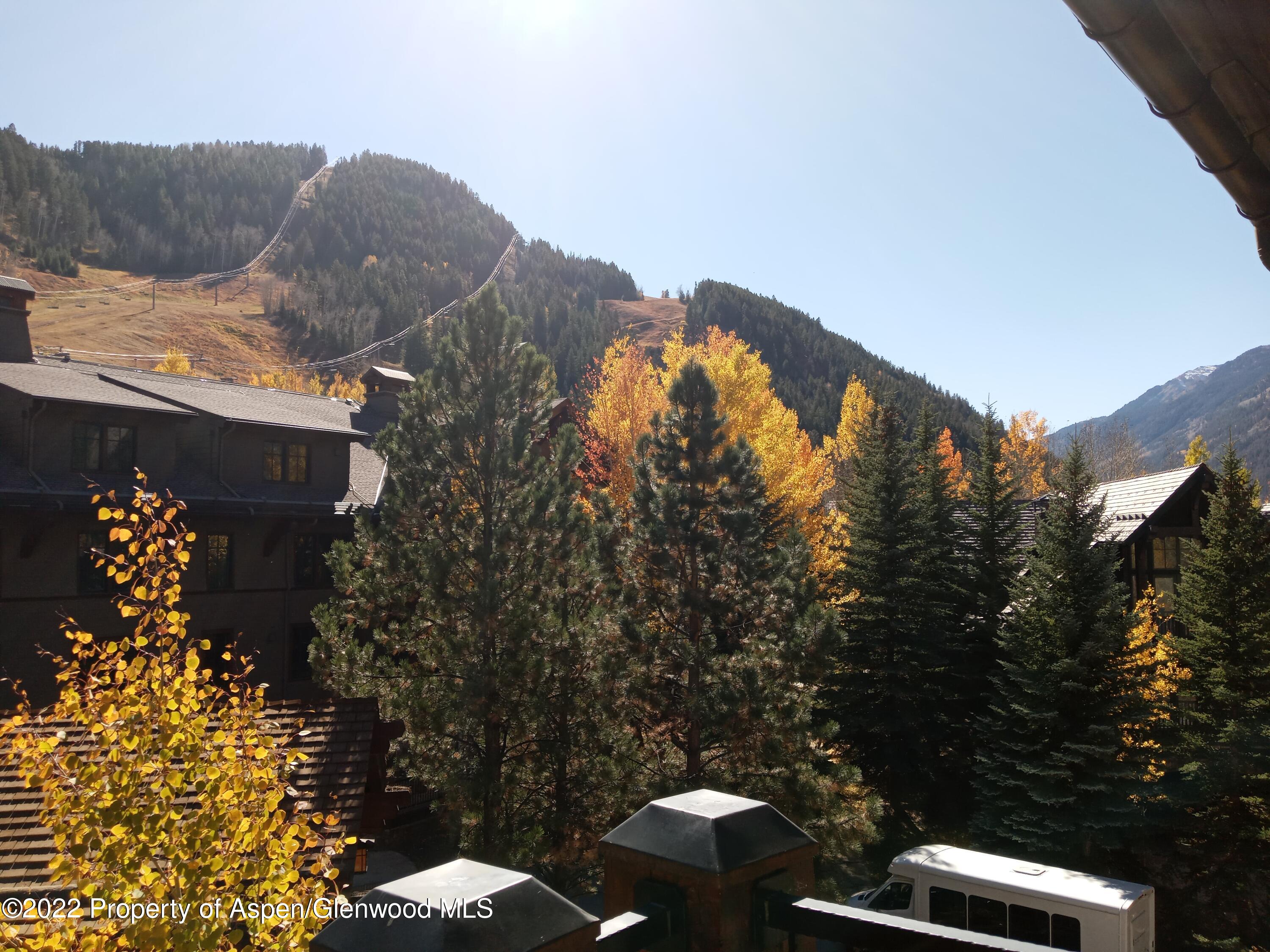 75 Prospector Road, Unit 8404 WINTER INTEREST #5 Aspen, CO 81611 - Photo 25 of 38 a view of outdoor space and garden