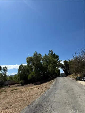 a view of a city with lush green forest