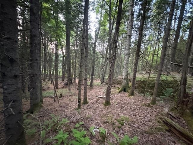 95 Langway Road Lyman, NH 03585 - Photo 3 of 12