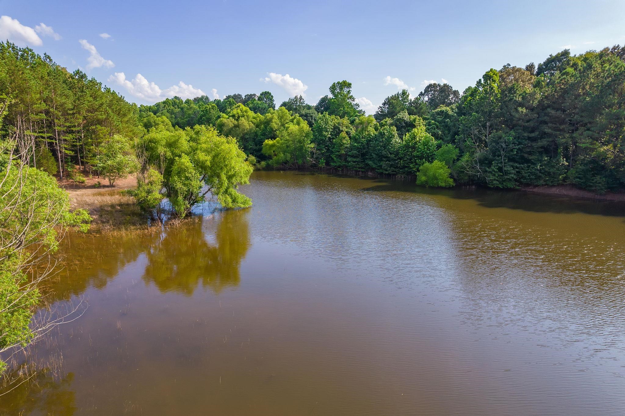 348 Countryside Drive Lexington, TN 38351 - Photo 39 of 39 a view of a lake from a yard