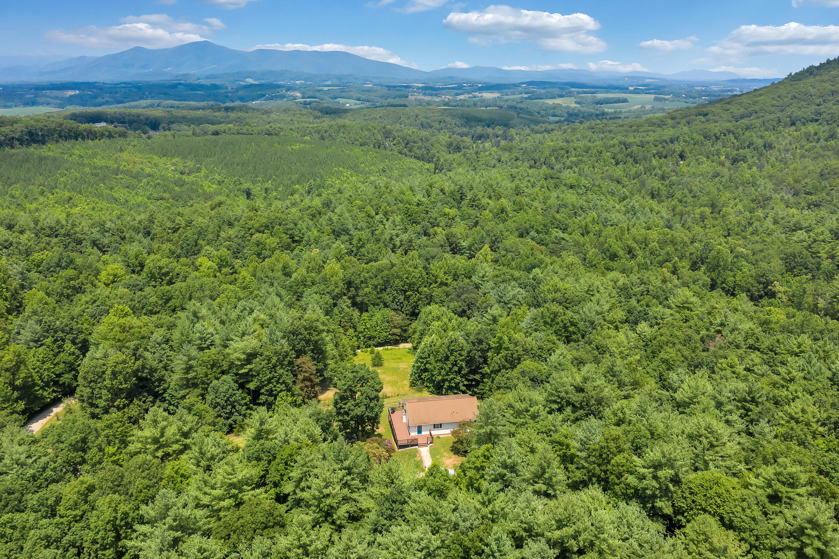 1145 Madcap Road Rocky Mount, VA 24151 - Photo 35 of 38 a view of a lush green outdoor space with a lake view