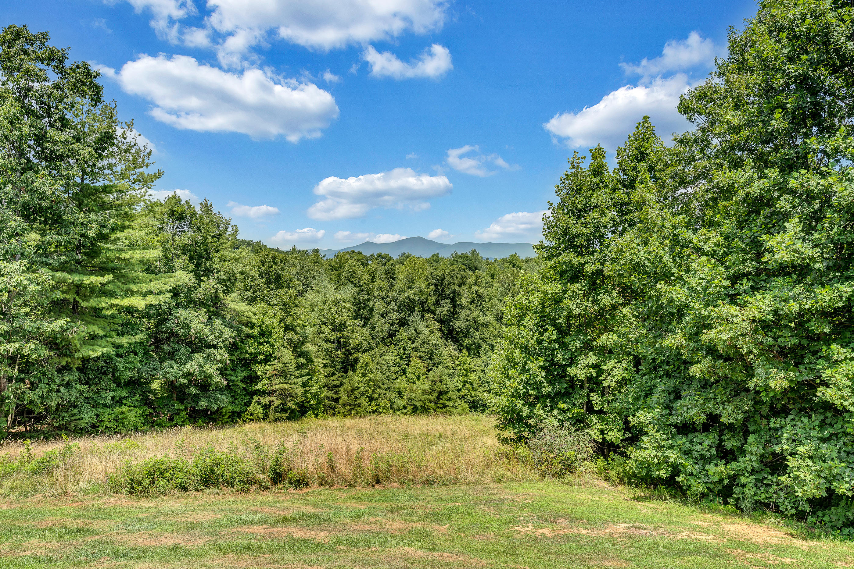 1145 Madcap Road Rocky Mount, VA 24151 - Photo 5 of 38 a view of a lake