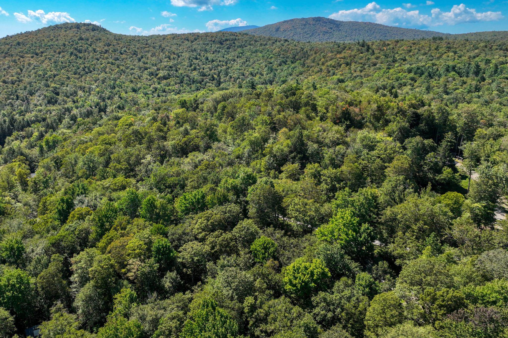 1-61 Hawk Spur Road, Unit 161 Plymouth, VT 05056 - Photo 13 of 17