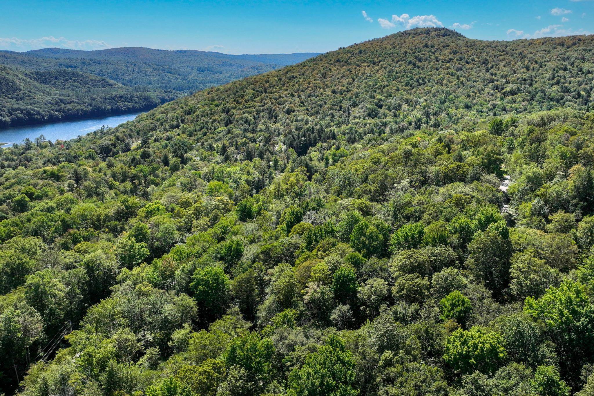 1-61 Hawk Spur Road, Unit 161 Plymouth, VT 05056 - Photo 14 of 17
