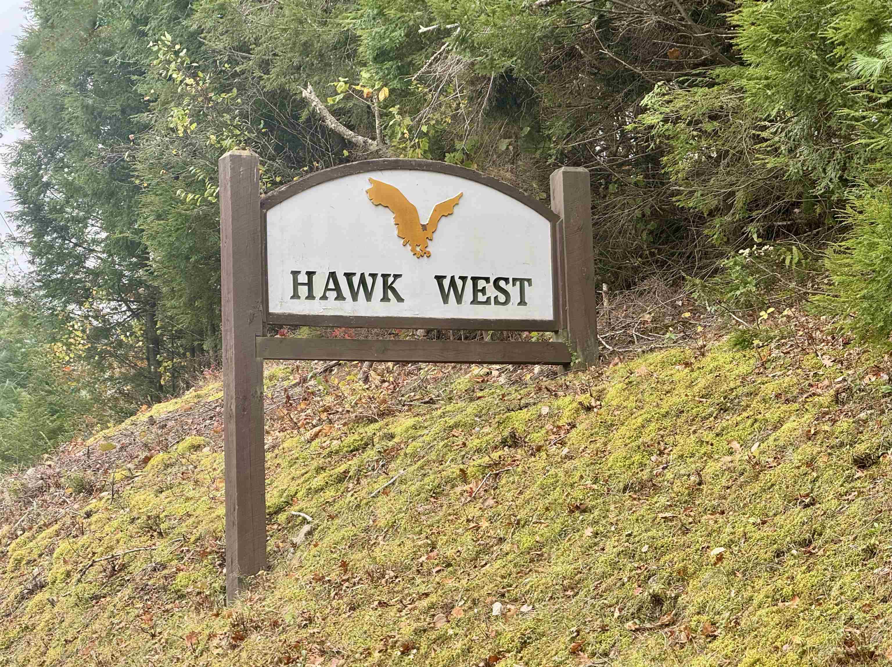 1-61 Hawk Spur Road, Unit 161 Plymouth, VT 05056 - Photo 16 of 17