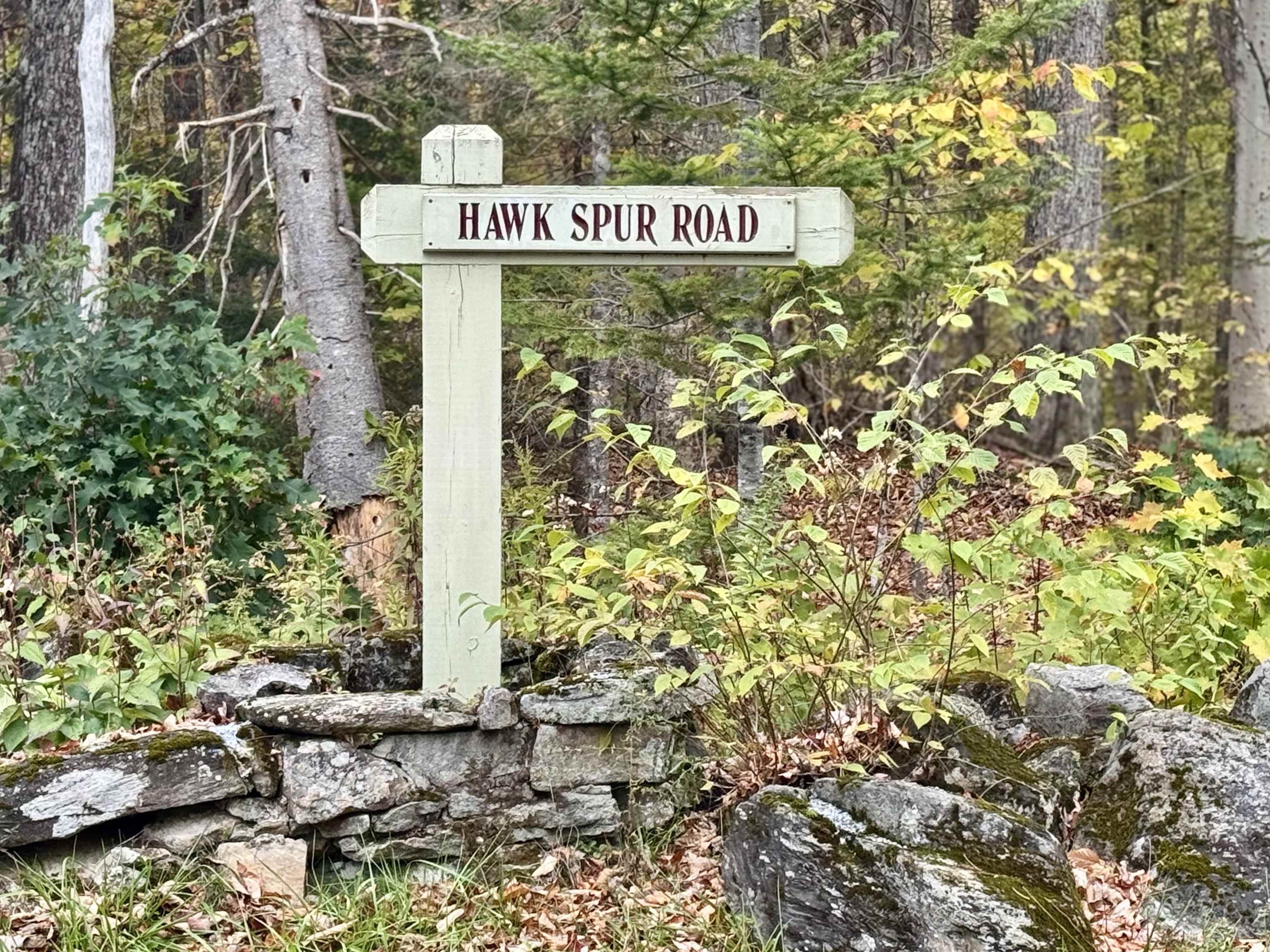 1-61 Hawk Spur Road, Unit 161 Plymouth, VT 05056 - Photo 17 of 17