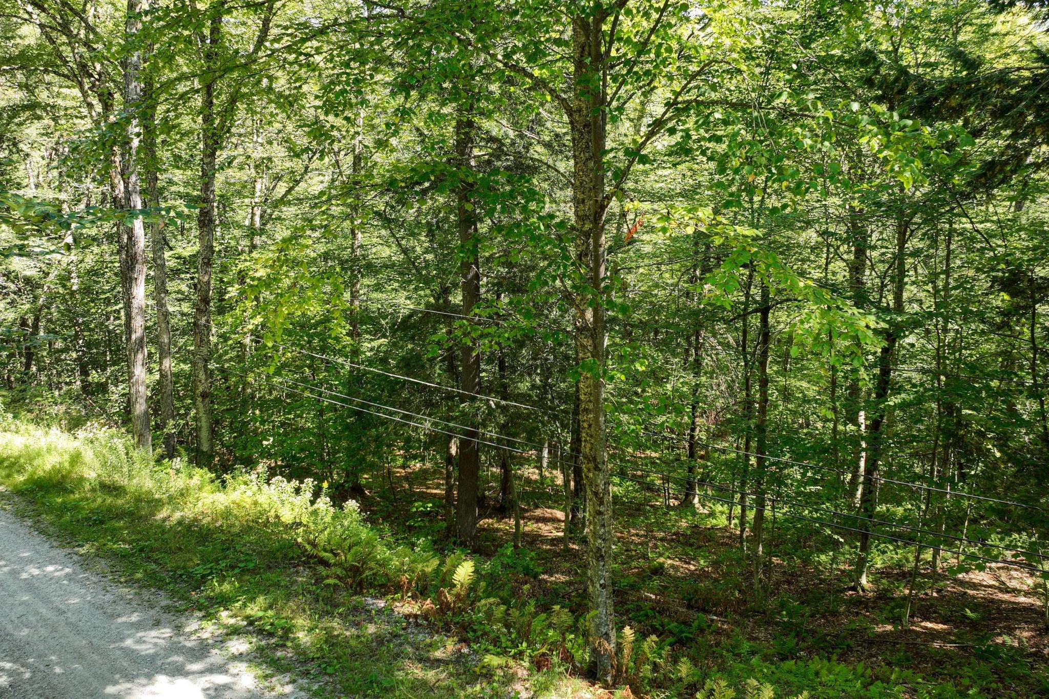 1-61 Hawk Spur Road, Unit 161 Plymouth, VT 05056 - Photo 2 of 17